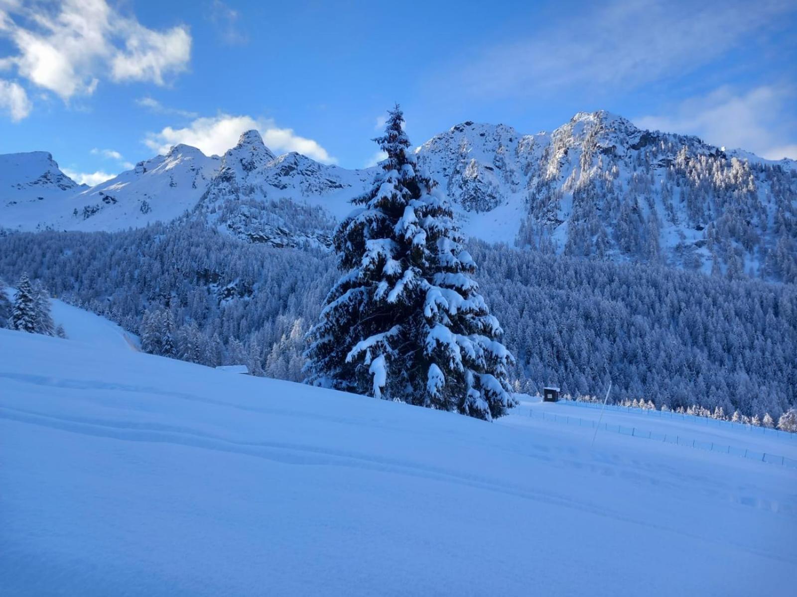 L' Aroula Rooms & Restaurant Champoluc Exterior photo